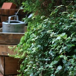 Garden Hotel
